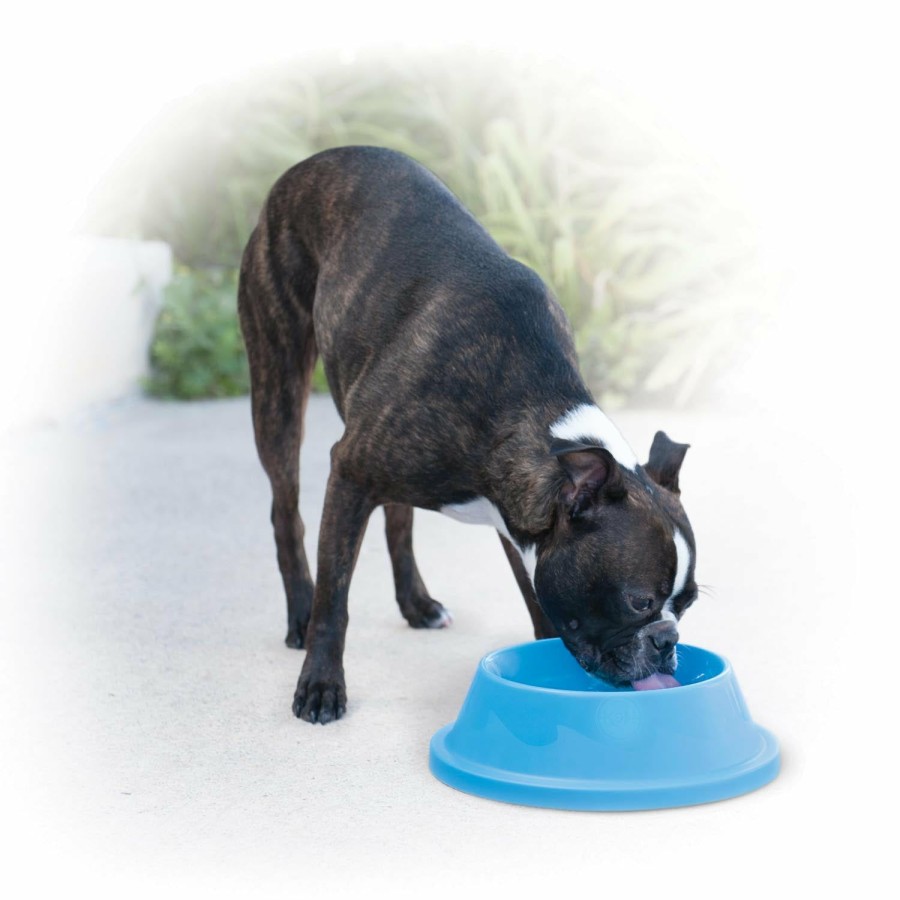 Dog * | New K&H Coolin' Bowl Cooling Water Bowl For Pets 32 Oz. Sky Blue96 Oz. Navy Blue