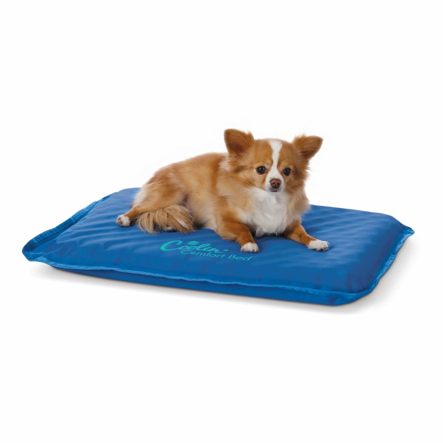 Dog * | Promotion K&H Coolin' Comfort Bed