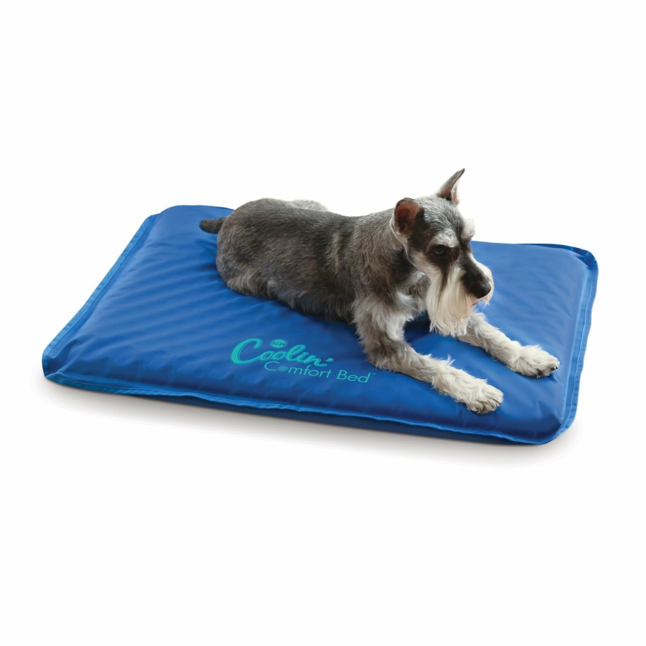 Dog * | Promotion K&H Coolin' Comfort Bed