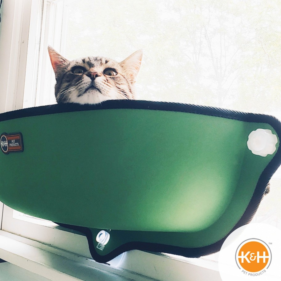 Cat * | Promotion K&H Ez Mount Window Bed