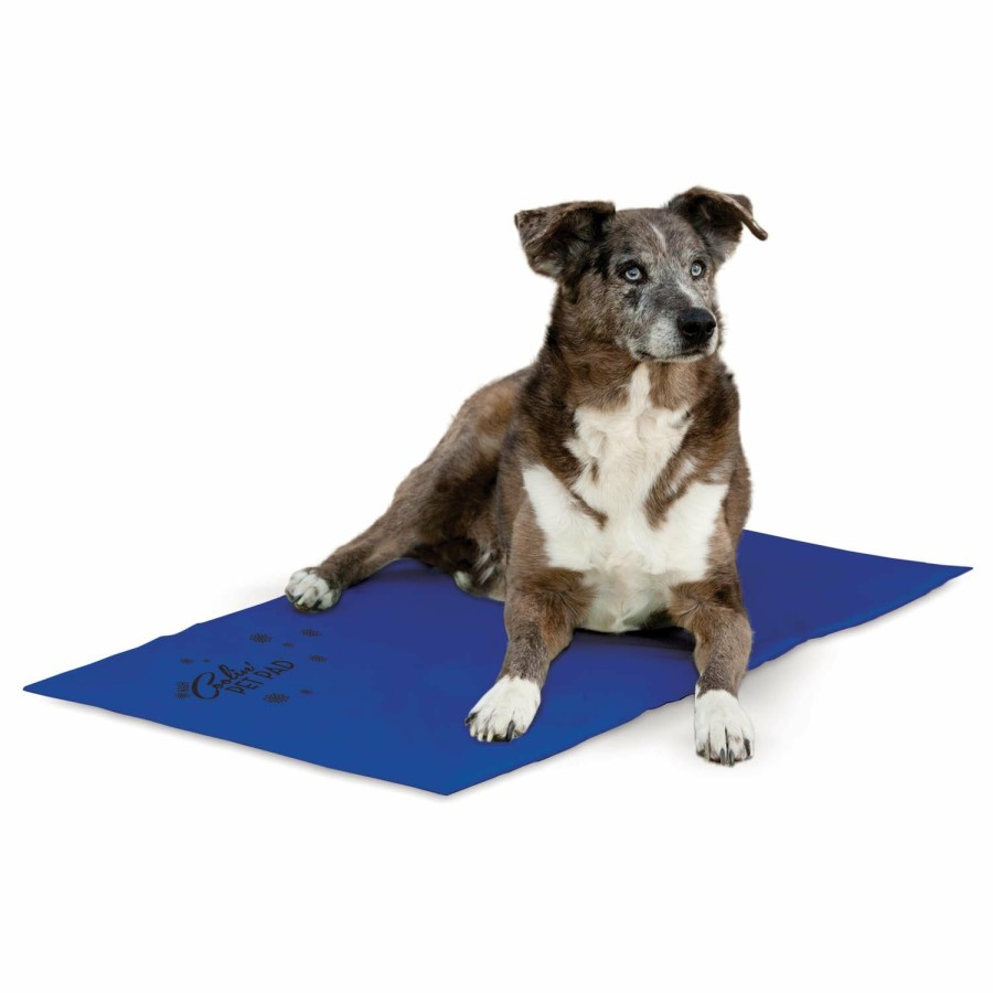 Dog * | Shop K&H Coolin' Pet Pad