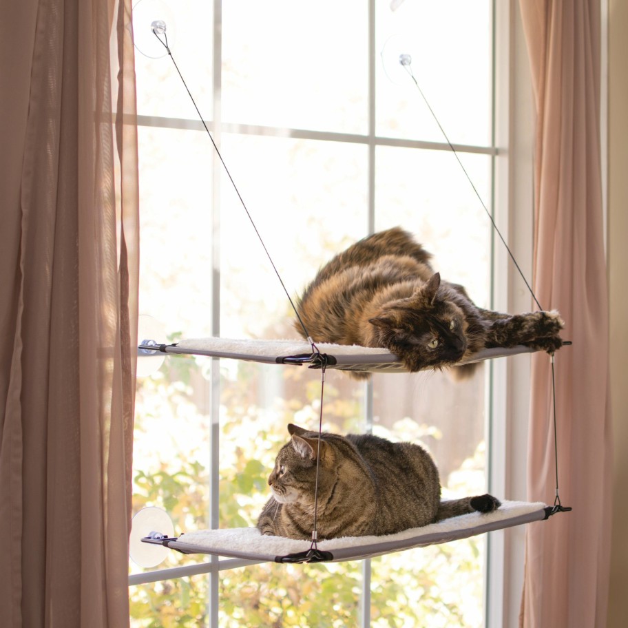 Cat * | Original K&H Window Lounger Kitty Sill Single Or Double Level