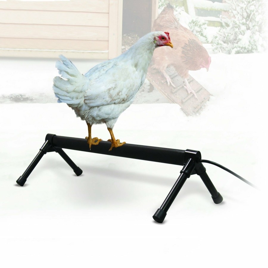 Chickens Horses & Livestock * | Discounts K&H Thermo-Chicken Perch