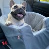 Dog * | Bargain Sale K&H Bucket Booster Pet Seat