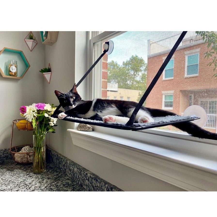 Cat * | Hot Sell K&H Ez Mount Window Kitty Sill Single Level