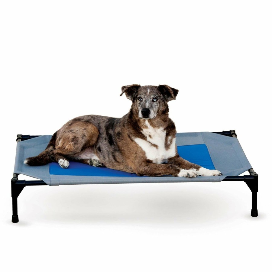 Dog * | Featured K&H Coolin' Pet Cot