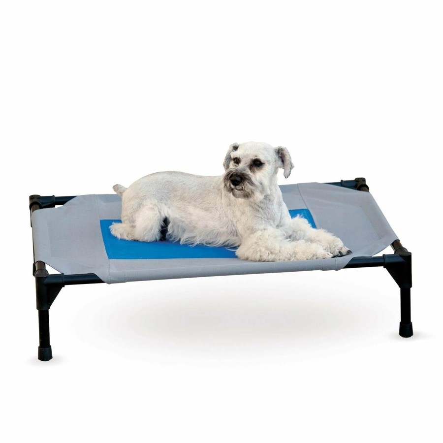 Dog * | Featured K&H Coolin' Pet Cot