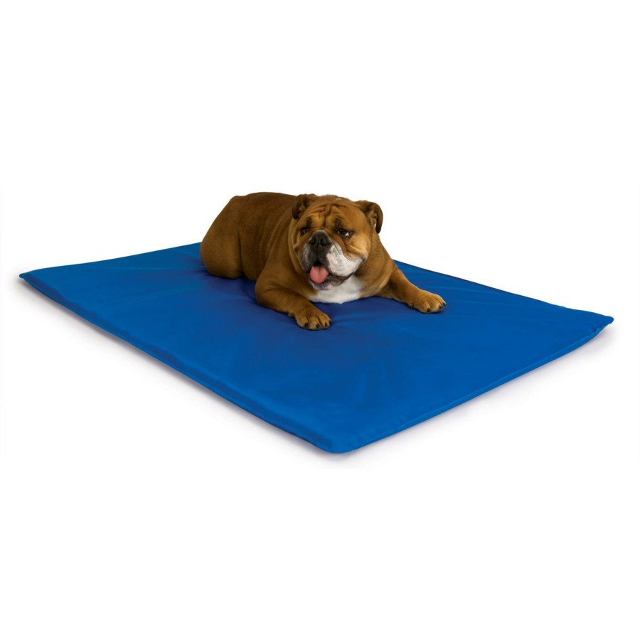 Dog * | Less Expensive K&H Cool Bed Iii Cooling Dog Bed Blue