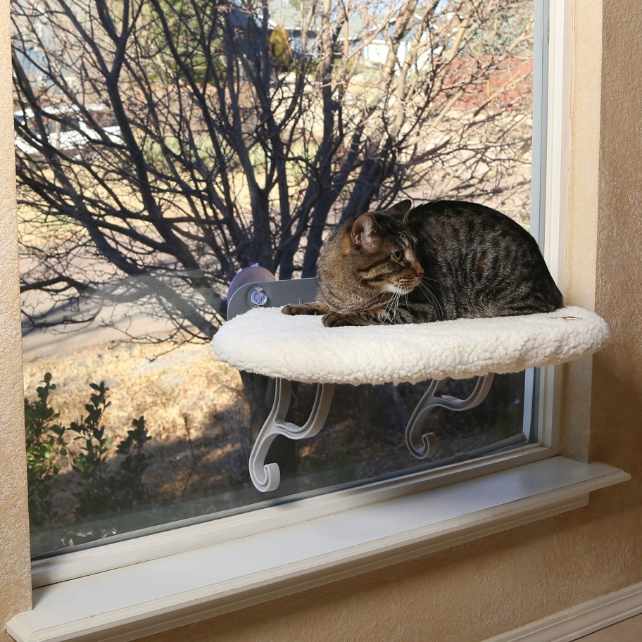 Cat * | Promotion K&H Universal Mount Kitty Sill